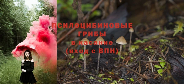 сатива Алзамай