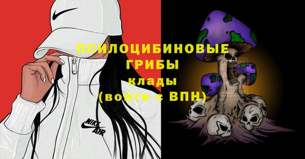 сатива Алзамай