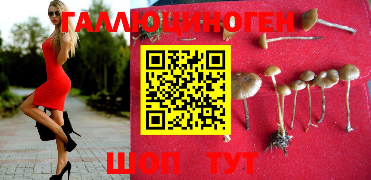 Псилоцибиновые грибы мицелий  Вход с VPN  Архангельск 