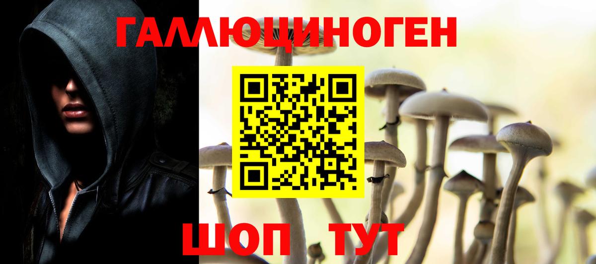 Галлюциногенные грибы Cubensis Архангельск